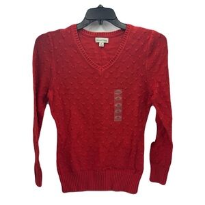 STUDIO WORKS Women's V-Neck Long Sleeve Deep Sienna Cotton Sweater, MEDIUM